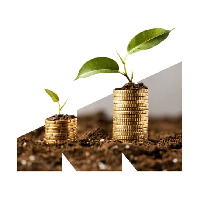 Search For The Best Investment For You