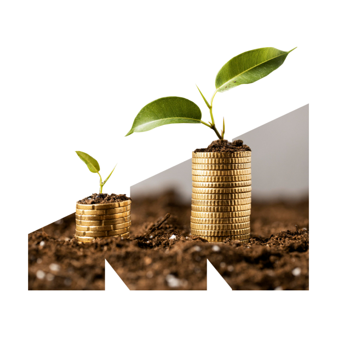 Search For The Best Investment For You